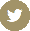 Logo Twitter