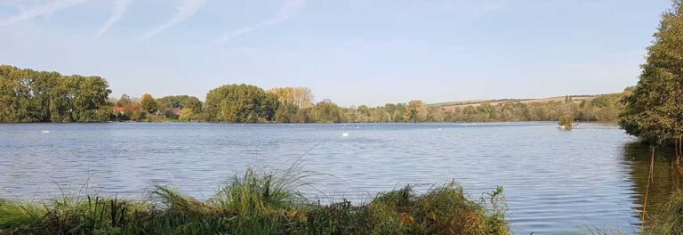 Les étangs de Cléry-sur-Somme