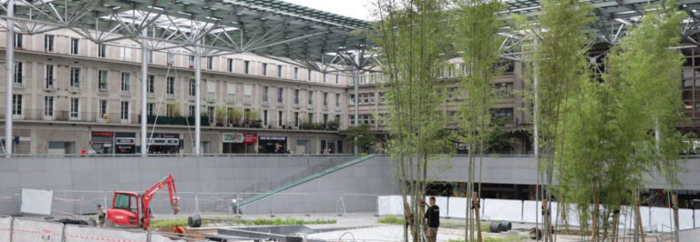 Implantation d’une bambouseraie à la gare d’Amiens